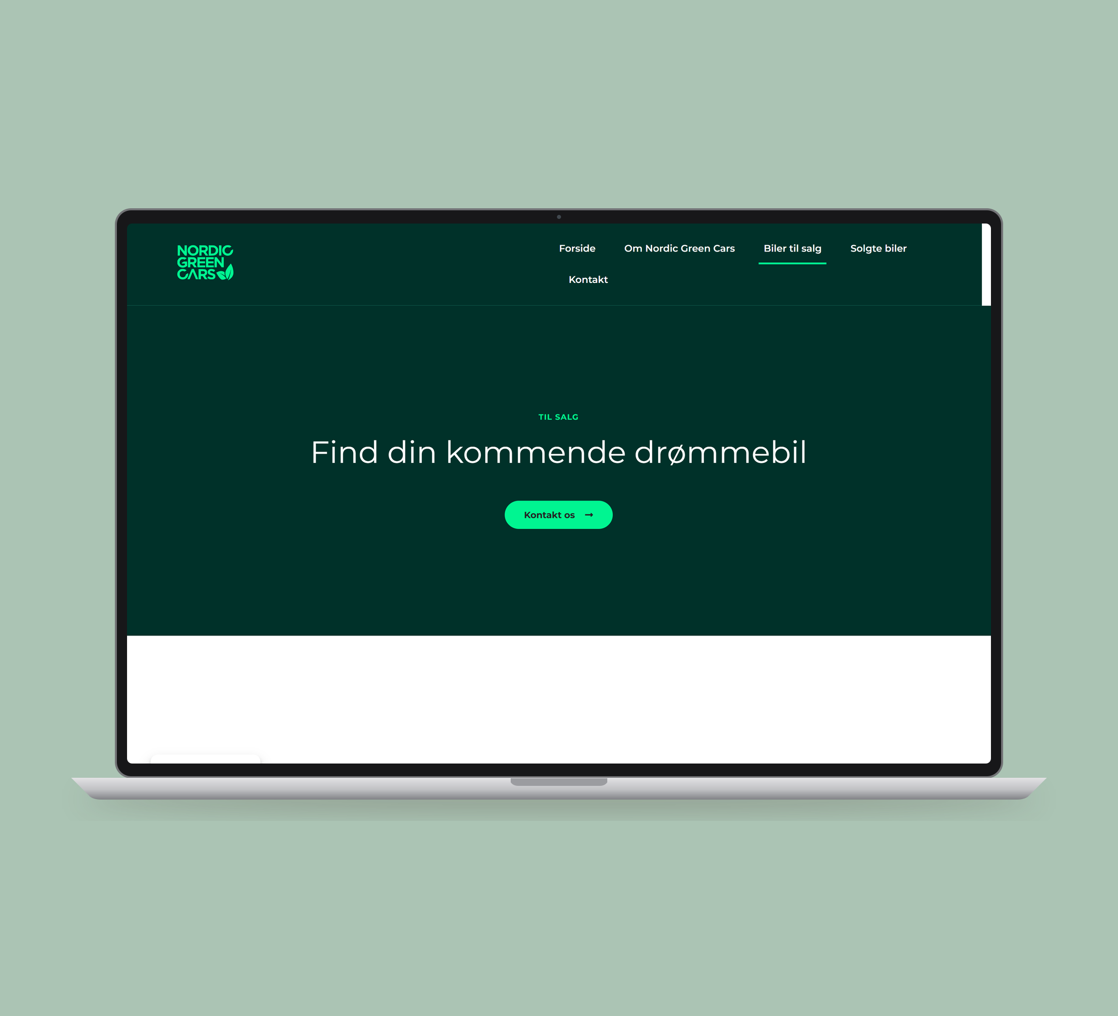 Nordic Green Cars: biler til salg vist lige forfra på laptop på en ensfarvet studiobaggrund.